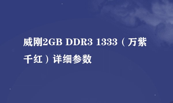 威刚2GB DDR3 1333（万紫千红）详细参数