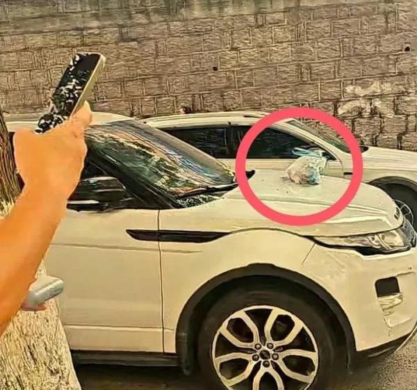 路虎女打人后续,被打小伙再次发声揭真相,女子身份曝光,更多细节流出