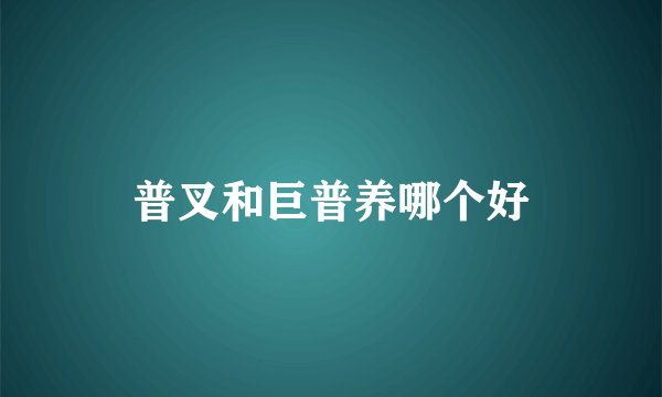 普叉和巨普养哪个好