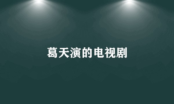 葛天演的电视剧