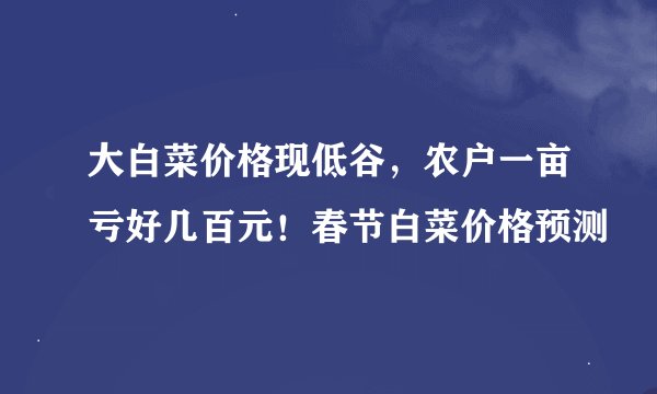 大白菜价格现低谷，农户一亩亏好几百元！春节白菜价格预测