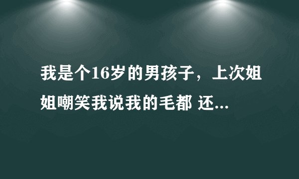 我是个16岁的男孩子，上次姐姐嘲笑我说我的毛都 还没有 长齐，这句话是什么意思啊，她想表明什么
