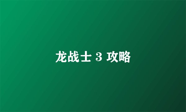 龙战士 3 攻略