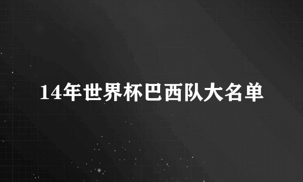 14年世界杯巴西队大名单