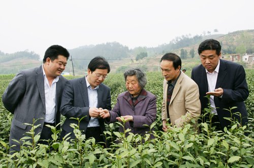 陆邦柱的介绍