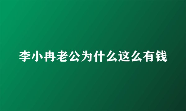李小冉老公为什么这么有钱