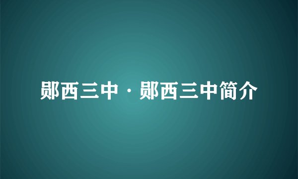郧西三中·郧西三中简介