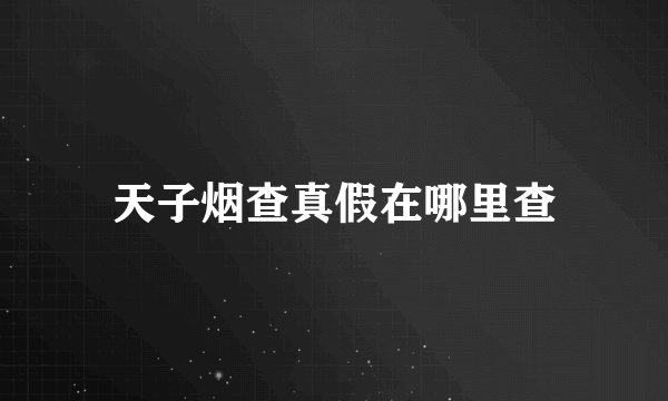 天子烟查真假在哪里查