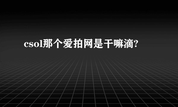 csol那个爱拍网是干嘛滴?