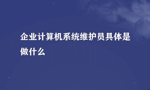 企业计算机系统维护员具体是做什么