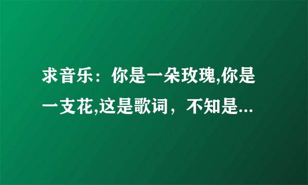 求音乐:你是一朵玫瑰,你是一支花,这是歌词,不知是谁唱的。谢谢告知。
