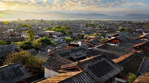 丽江螺旋藻购物骗局，我们被导游带去配送中心买了3000多的螺旋藻，导游说按照他说的偏方可治百病