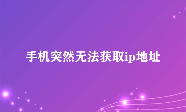 手机突然无法获取ip地址