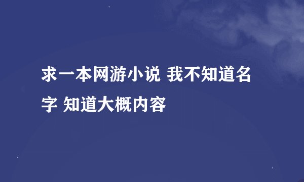求一本网游小说 我不知道名字 知道大概内容