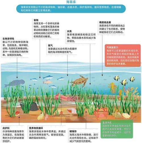 海底世界的资料有哪些，海底世界的相关资料简短编