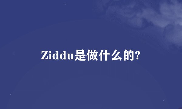 Ziddu是做什么的?