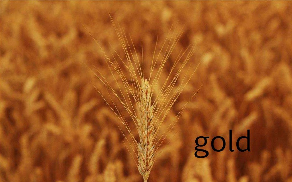 五颜六色的英语怎么读?