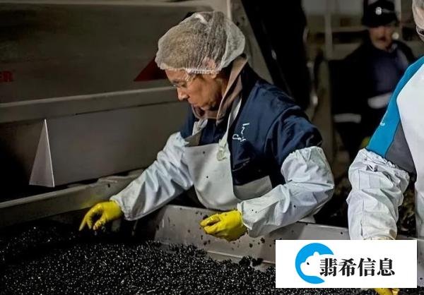 智利十八罗汉之柯诺苏逸品