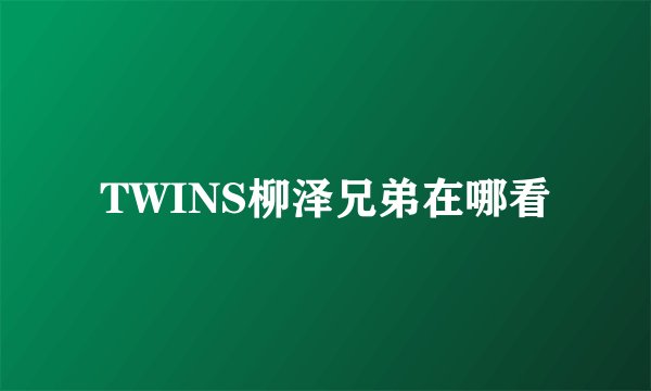 TWINS柳泽兄弟在哪看
