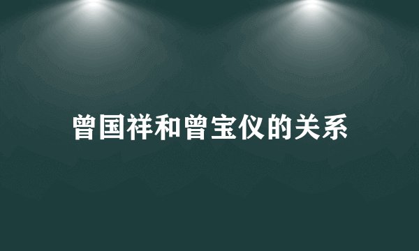 曾国祥和曾宝仪的关系