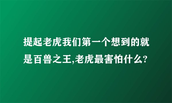 提起老虎我们第一个想到的就是百兽之王,老虎最害怕什么?