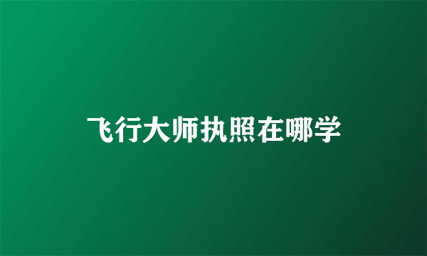 飞行大师执照在哪学