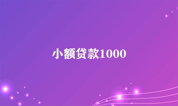 小额贷款1000