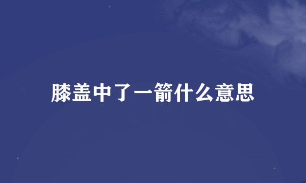 膝盖中了一箭什么意思