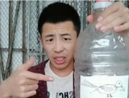 小鸟伏特加是什么梗