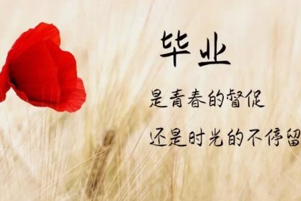 毕业季经典短句8字