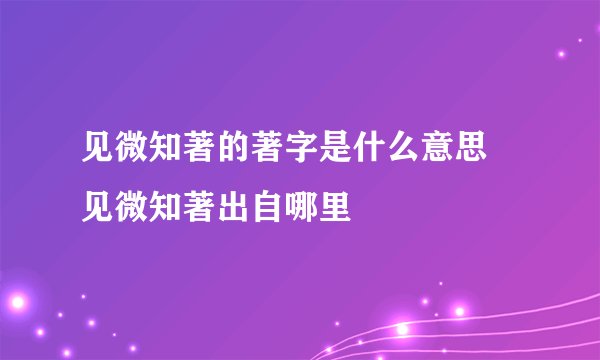 见微知著的著字是什么意思 见微知著出自哪里