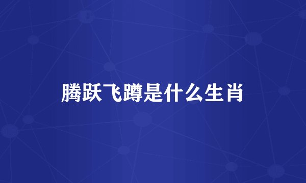 腾跃飞蹲是什么生肖