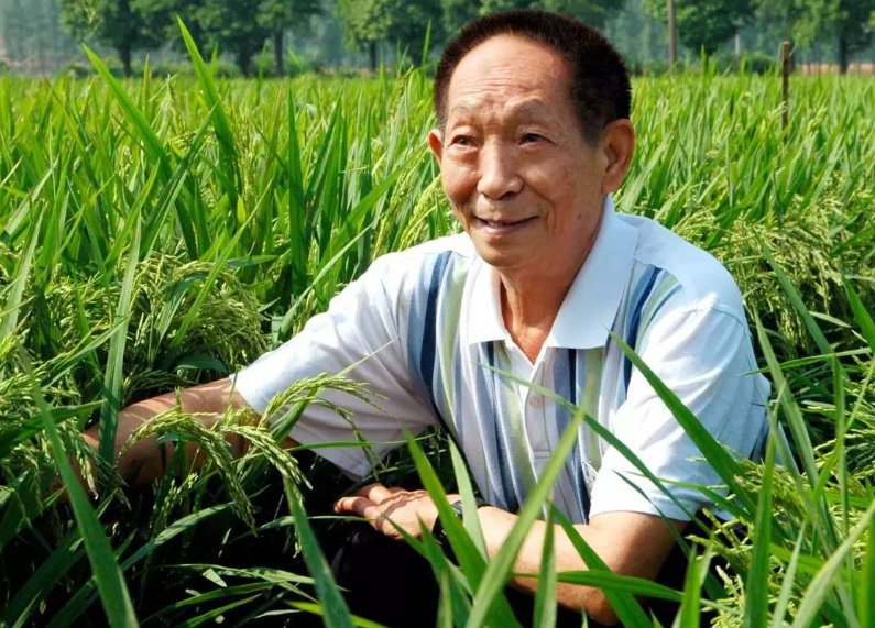 袁隆平的三个儿子
