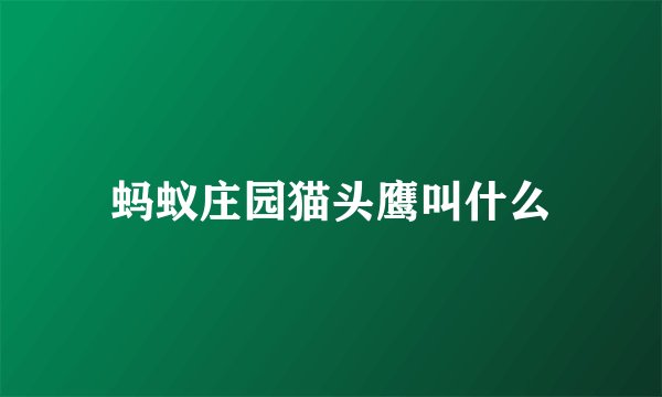 蚂蚁庄园猫头鹰叫什么