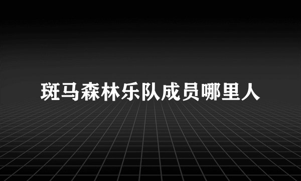 斑马森林乐队成员哪里人