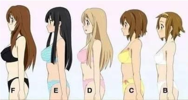 36D算不算大？