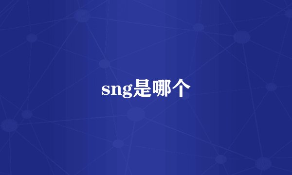 sng是哪个