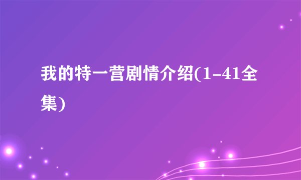 我的特一营剧情介绍(1-41全集)