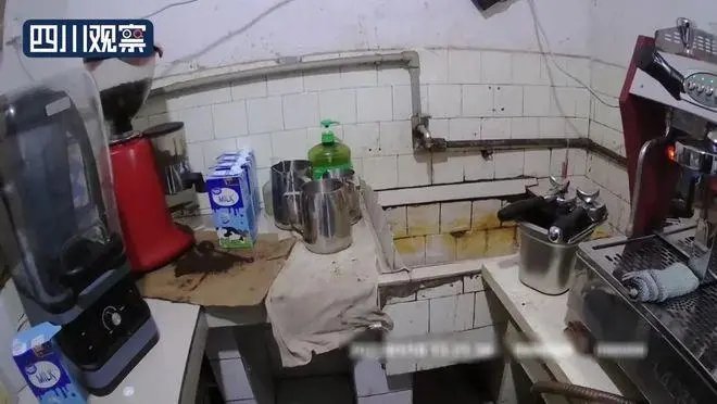 四川一男子出租屋内生产假星巴克外卖达729单,他可能受到什么惩罚?