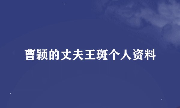 曹颖的丈夫王斑个人资料