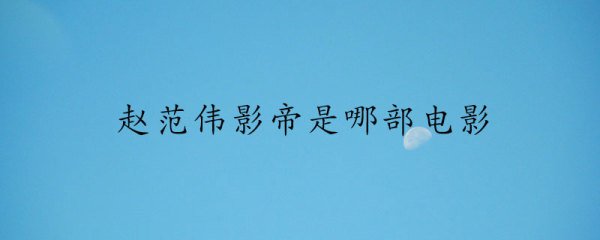赵范伟影帝是哪部电影