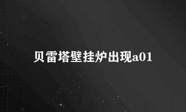 贝雷塔壁挂炉出现a01