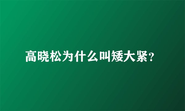高晓松为什么叫矮大紧？