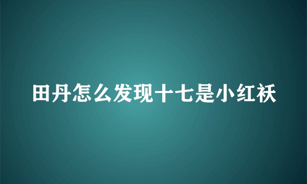 田丹怎么发现十七是小红袄