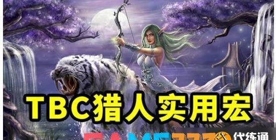 魔兽世界TBC怀旧服猎人实用宏汇总 抽筋宏加误导宏