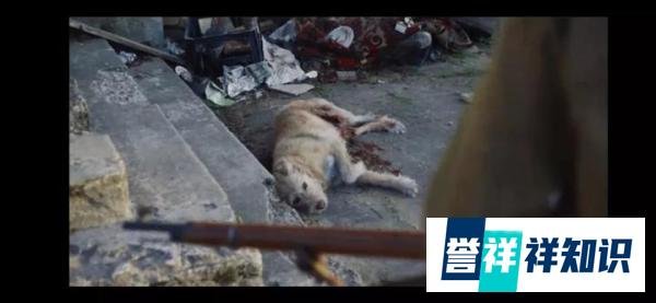 《切尔诺贝利》第四集剧评——子代母亡