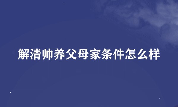解清帅养父母家条件怎么样