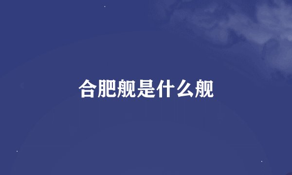 合肥舰是什么舰