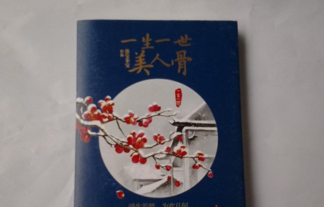 《一生一世美人骨》讲述了怎样的故事