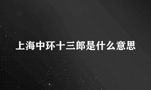 上海中环十三郎是什么意思